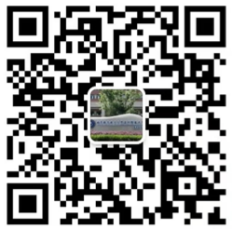 3e0ce32663a24a9ca516f005a801e6cd.Png