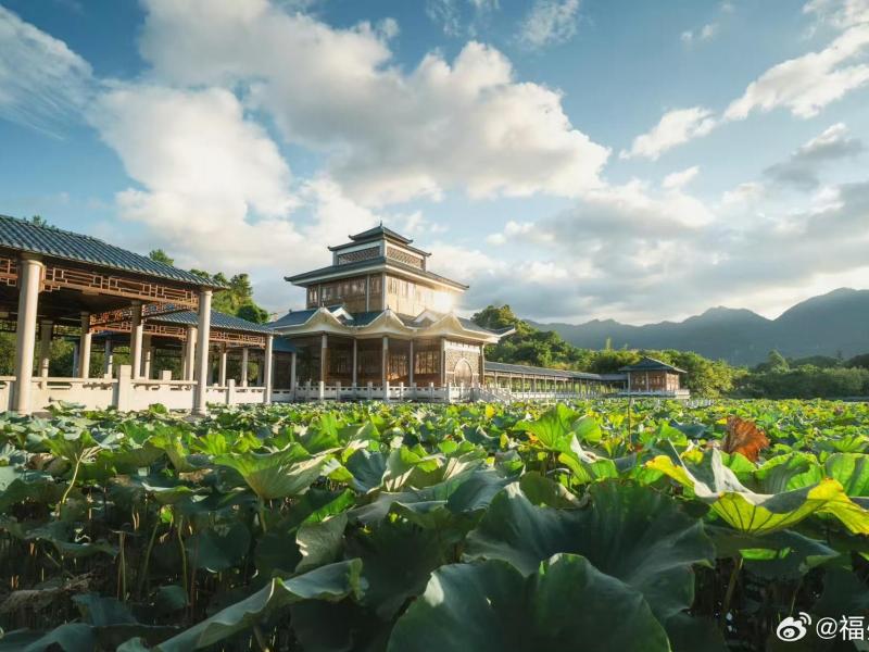 86634ee80a7144009558991a64802899.jpg 86634ee80a7144009558991a64802899.jpg