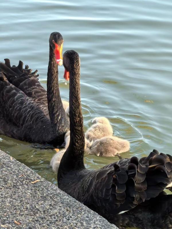 b536be3566624d06a06d80a5c5f8e963.jpg b536be3566624d06a06d80a5c5f8e963.jpg