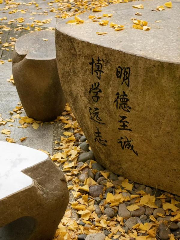 b97102c84890452bac6b388b4527f8a5.jpg b97102c84890452bac6b388b4527f8a5.jpg