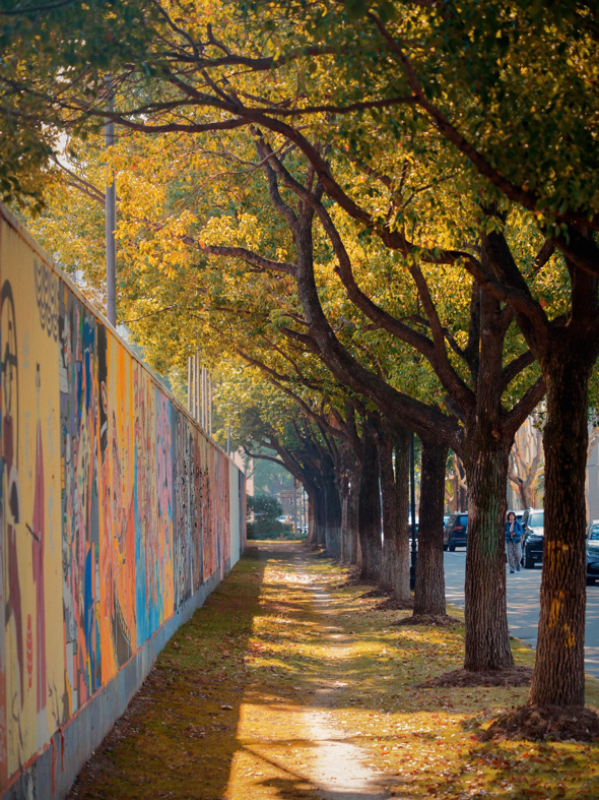 550533786ec2495cad24847357946bf2.png 550533786ec2495cad24847357946bf2.png