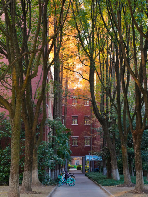 e7f1fb90c9ea4822a0c753a2c84f5522.png e7f1fb90c9ea4822a0c753a2c84f5522.png