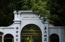 【陪伴高三】——学长学姐有话说（十一）心向朝阳，纵情翱翔